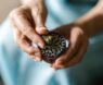 Top 7 Best Weeding Tools for Flower Beds in 2025: Effortless Gardening Tips