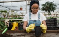 Top Affordable Work Gloves for Gardening in 2025: Comfort, Grip & Durability for Gardeners