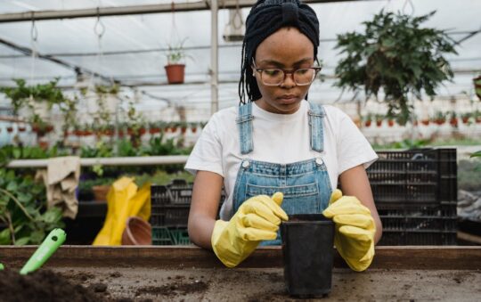 Top Affordable Work Gloves for Gardening in 2025: Comfort, Grip & Durability for Gardeners