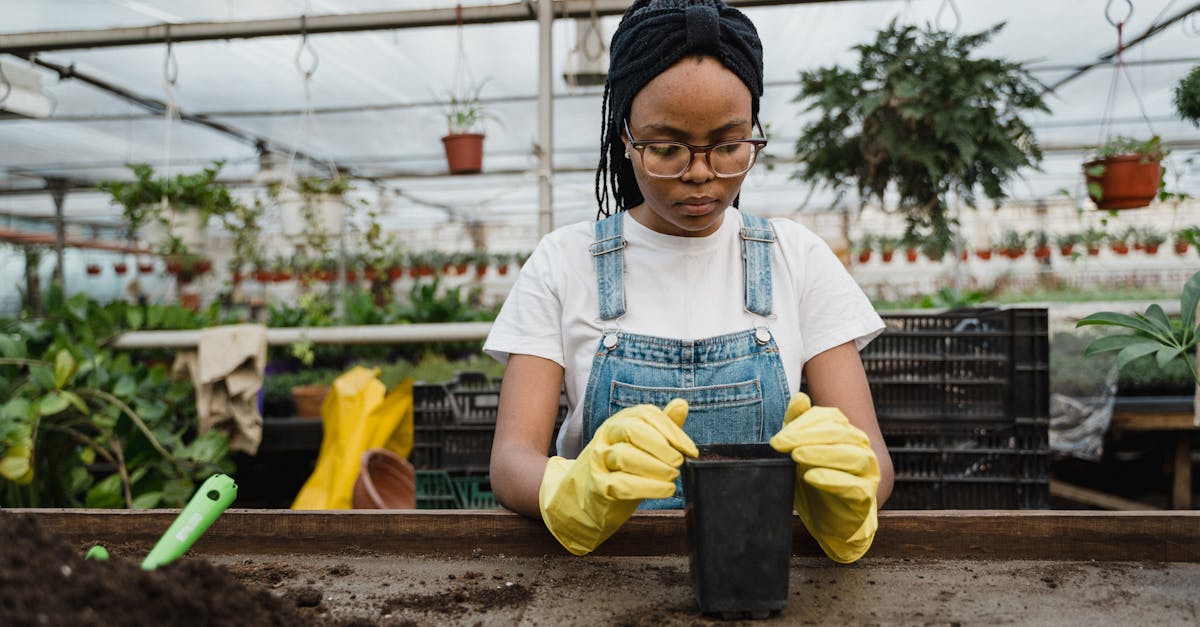 Top Affordable Work Gloves for Gardening in 2025: Comfort, Grip & Durability for Gardeners