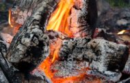Top-Rated Fire Pits for Backyard Gatherings in 2025: Stay Warm and Entertain in Style Top-Rated Fire Pits for Backyard Gatherings in 2025: Stay Warm and Entertain in Style
