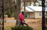 Top-Rated Leaf Blowers for Autumn Cleanup: Best Picks for 2025 Yard Care