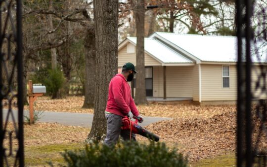 Top-Rated Leaf Blowers for Autumn Cleanup: Best Picks for 2025 Yard Care