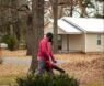 Top-Rated Leaf Blowers for Autumn Cleanup: Best Picks for 2025 Yard Care
