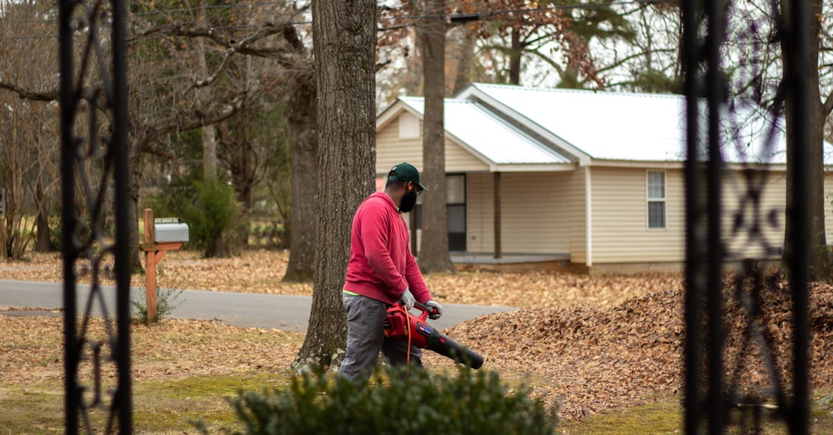 Top-Rated Leaf Blowers for Autumn Cleanup: Best Picks for 2025 Yard Care