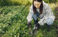 Top 7 Best Soil Aerators for Healthy Lawns in 2025: Expert Picks for Lush Grass