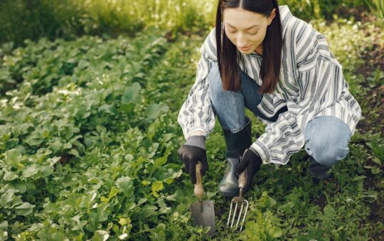 Top 7 Best Soil Aerators for Healthy Lawns in 2025: Expert Picks for Lush Grass
