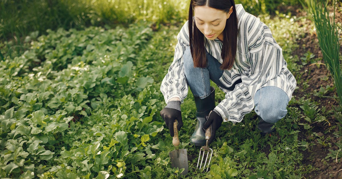 Top 7 Best Soil Aerators for Healthy Lawns in 2025: Expert Picks for Lush Grass