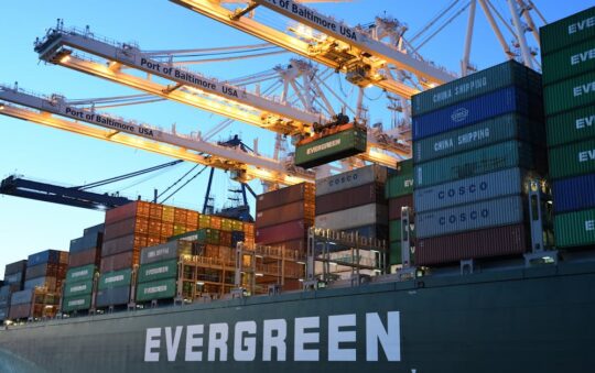 Top-Rated Wheelbarrows for Heavy Loads in 2025: Best Picks for Strength & Comfort