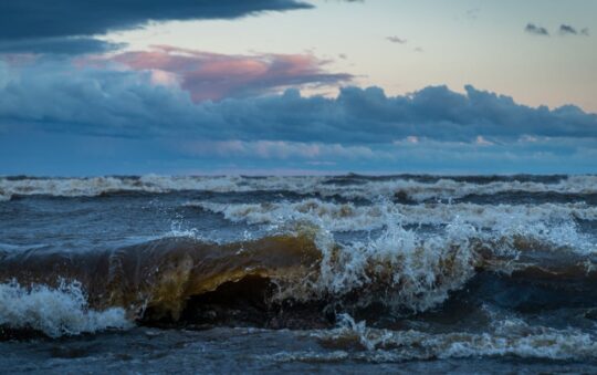 Top-Rated Lawn Rollers for Even Surfaces in 2025: Expert Picks for a Perfect Lawn