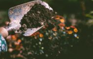 Top-Rated Garden Trowels for Planting in 2025: Best Picks for Comfortable, Precise Gardening
