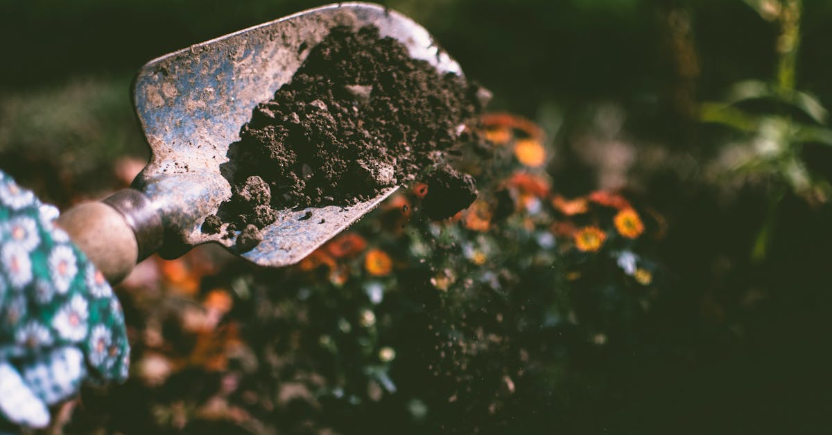 Top-Rated Garden Trowels for Planting in 2025: Best Picks for Comfortable, Precise Gardening