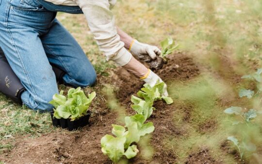 Top-Rated Steel-Toe Boots for Yard Work 2025: Comfort, Safety & Durability Guide