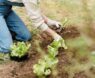 Top-Rated Steel-Toe Boots for Yard Work 2025: Comfort, Safety & Durability Guide