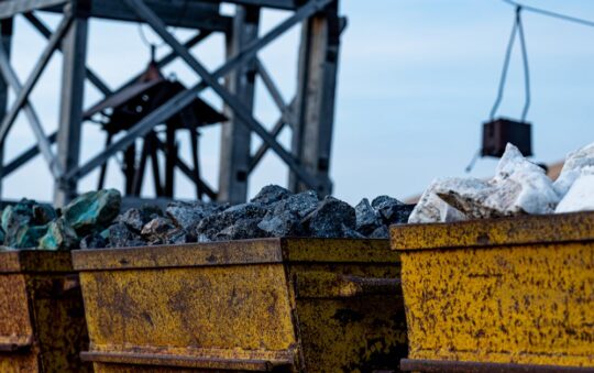 Affordable Landscape Fabric for Weed Control: Top Tips to Save Your Garden in 2025