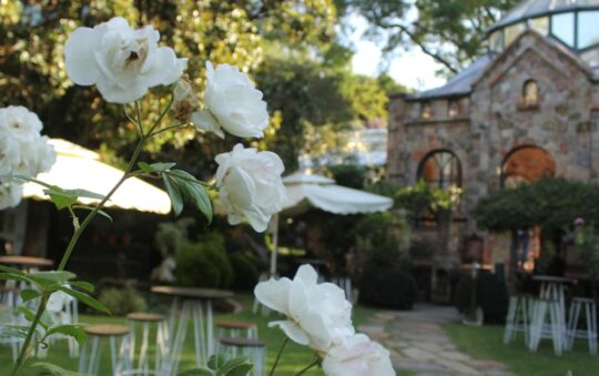 Affordable Garden Arbors for Decoration: Stylish Outdoor Upgrades for 2025 on a Budget