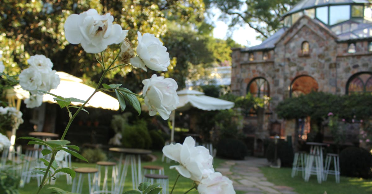 Affordable Garden Arbors for Decoration: Stylish Outdoor Upgrades for 2025 on a Budget