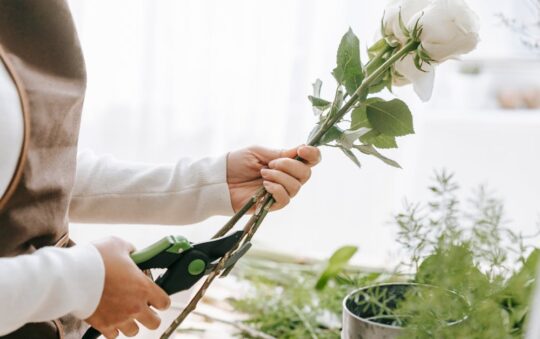 Best Pruning Shears for Small Hands in 2025: Top Picks for Comfort & Precision Gardening