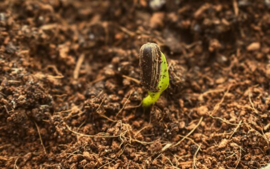 Best Compost Bins for Small Gardens in 2025: Top Space-Saving Picks for Easy Composting