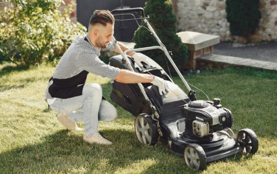 Best Edging Tools for Clean Lawn Borders in 2025: Top Picks for Gardeners & Landscapers