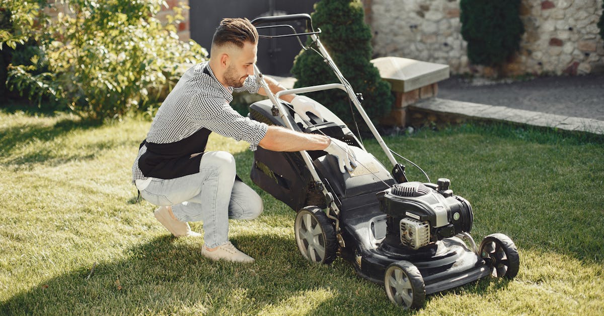 Best Edging Tools for Clean Lawn Borders in 2025: Top Picks for Gardeners & Landscapers