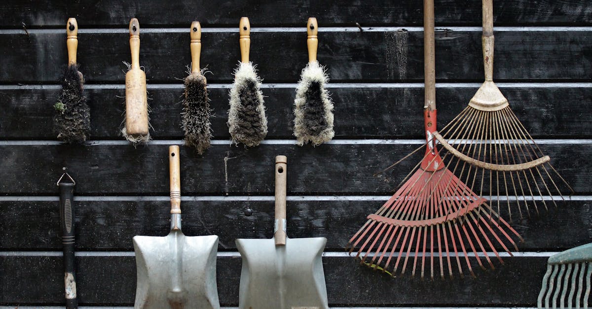 Top Lightweight Leaf Rakes for Fall Cleanup in 2025: Easy and Pain-Free Yard Work