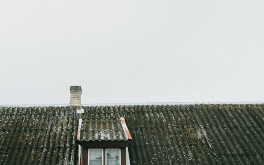 Top Best Roof Moss Removal Tools for Homeowners in 2025: DIY Safe & Effective Gear