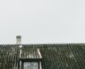 Top Best Roof Moss Removal Tools for Homeowners in 2025: DIY Safe & Effective Gear