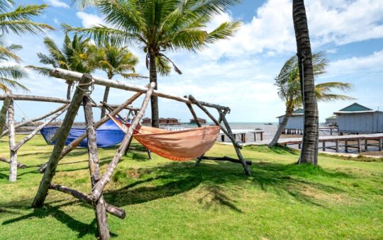 Top Best Hammocks with Stands for Relaxation in 2025: Ultimate Comfort & Style Guide