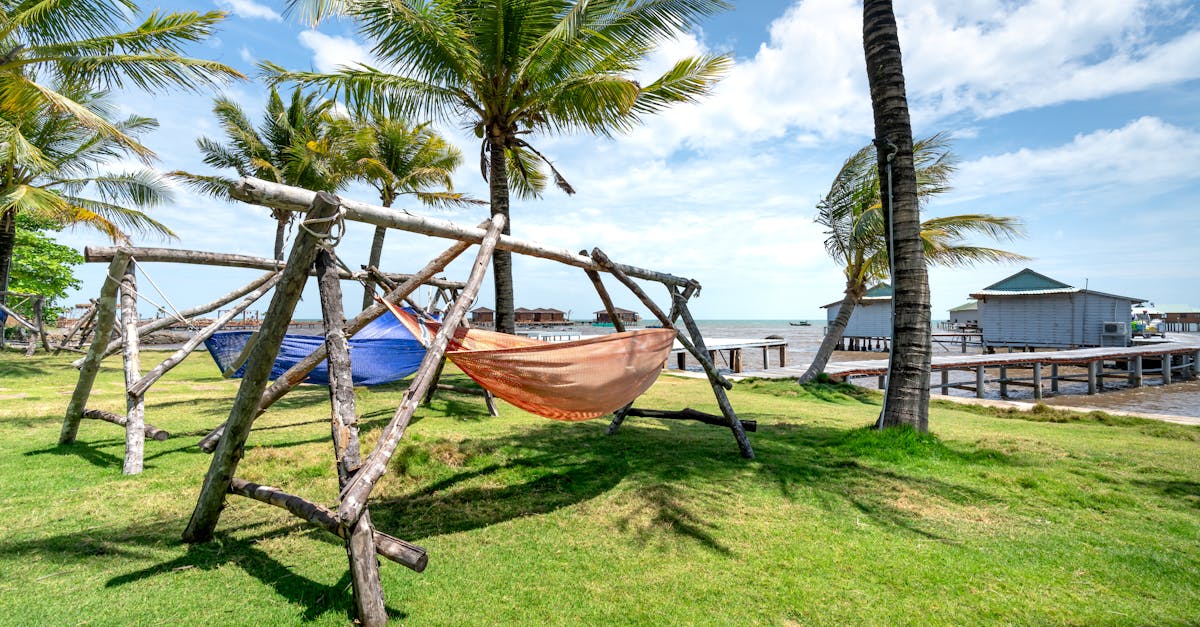 Top Best Hammocks with Stands for Relaxation in 2025: Ultimate Comfort & Style Guide