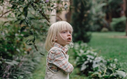 Best Electric Lawn Mowers for Small Yards 2025: Top Lightweight Picks for Easy Lawn Care