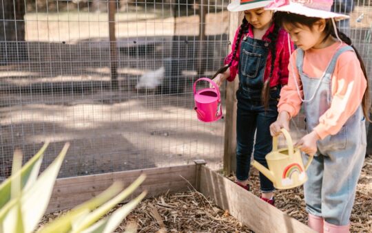 Top Durable Watering Cans for Outdoor Use in 2025: Lasting Quality for Gardeners