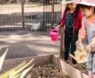 Top Durable Watering Cans for Outdoor Use in 2025: Lasting Quality for Gardeners