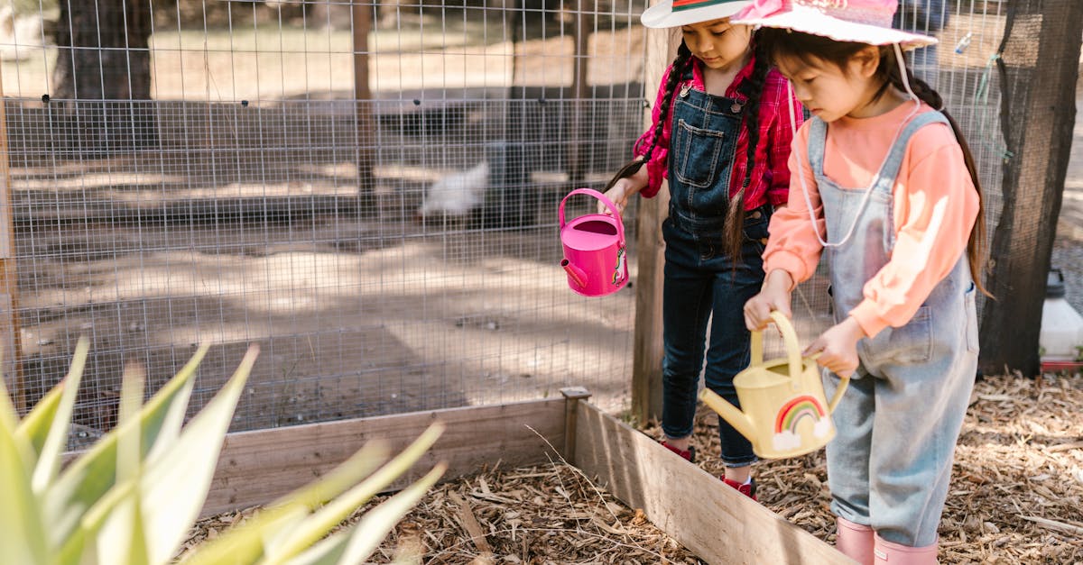 Top Durable Watering Cans for Outdoor Use in 2025: Lasting Quality for Gardeners